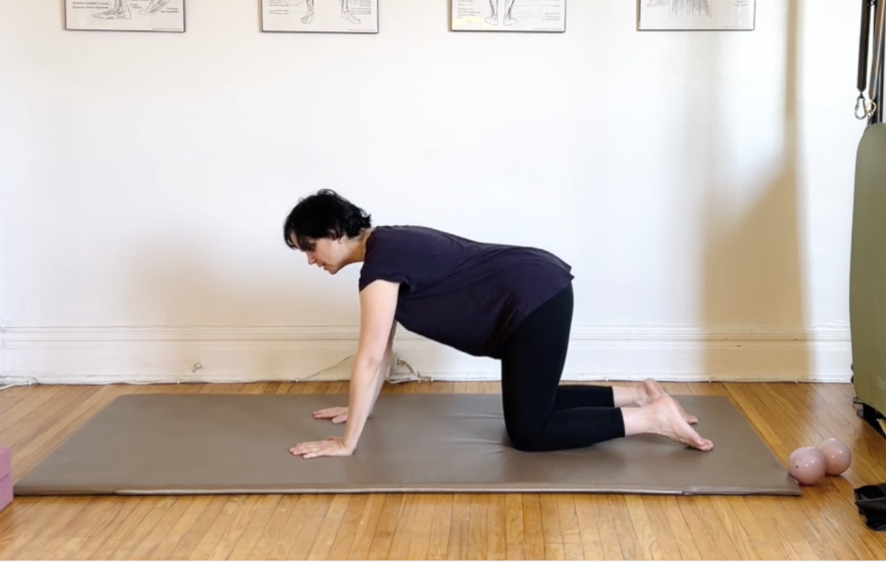 Band, blocks and lunge